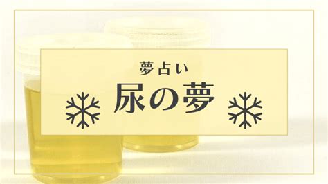 夢占い おしっこ|【夢占い】尿・おしっこの意味22選！かけられる・か。